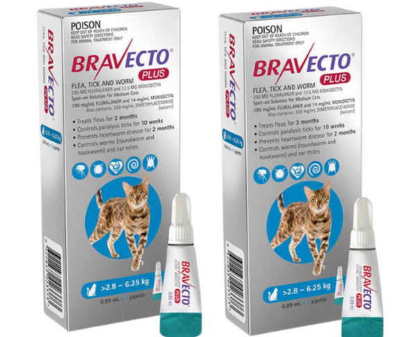 Bravecto Plus For Medium Cat 6.2-13.8 lbs (2.8-6.25kg)