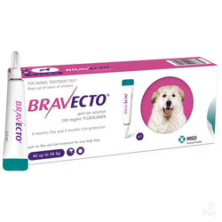 Bravecto Spot-On For Extra Large Dog 88-123 lbs (40-60kg)