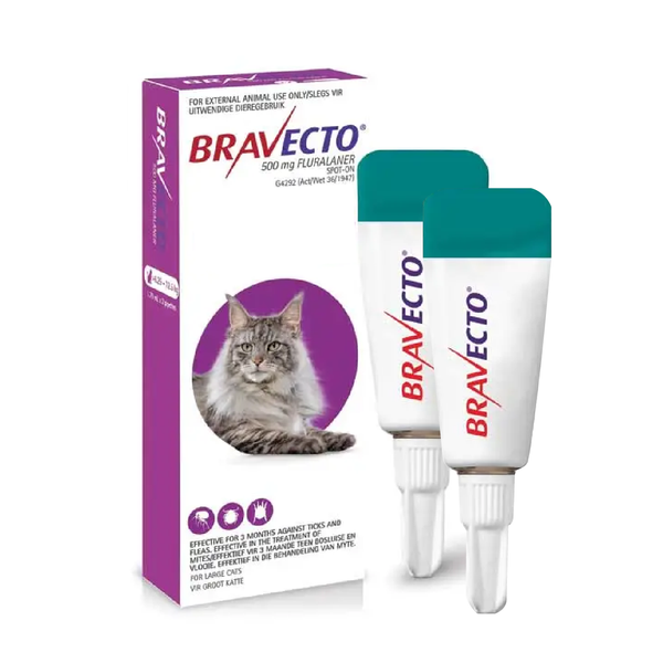 Bravecto Spot-On For Large Cat 14-28 lbs (6.25-12.5kg)