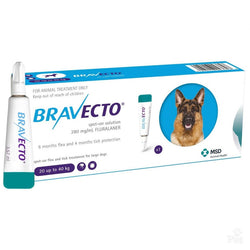 Bravecto Spot-On For Large Dog 44-88 lbs (20-40kg)