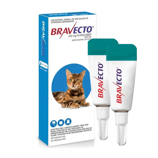 Bravecto Spot-On For Medium Cat 6-14 lbs (2.8-6.25kg)