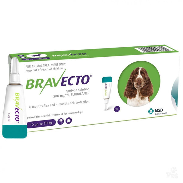Bravecto Spot-On For Medium Dog 22-44 lbs (10-20kg)