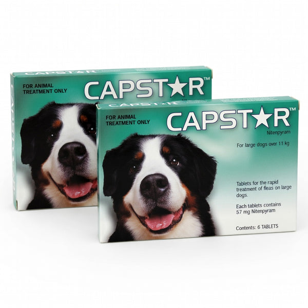 Capstar Tablets for Large Dogs 11.1kg (25lbs) 12 Pack | 79Pets.com