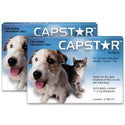 Capstar Tablet For Small Dog And Cat Tablets