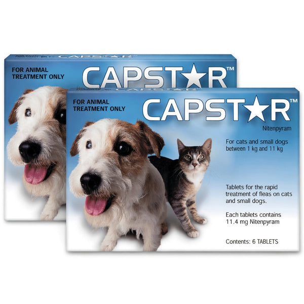 Capstar Tablet For Small Dog And Cat Tablets