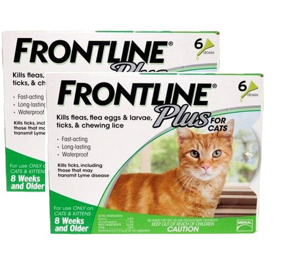 Frontline Plus For Cats and Kittens 8 Weeks or Older