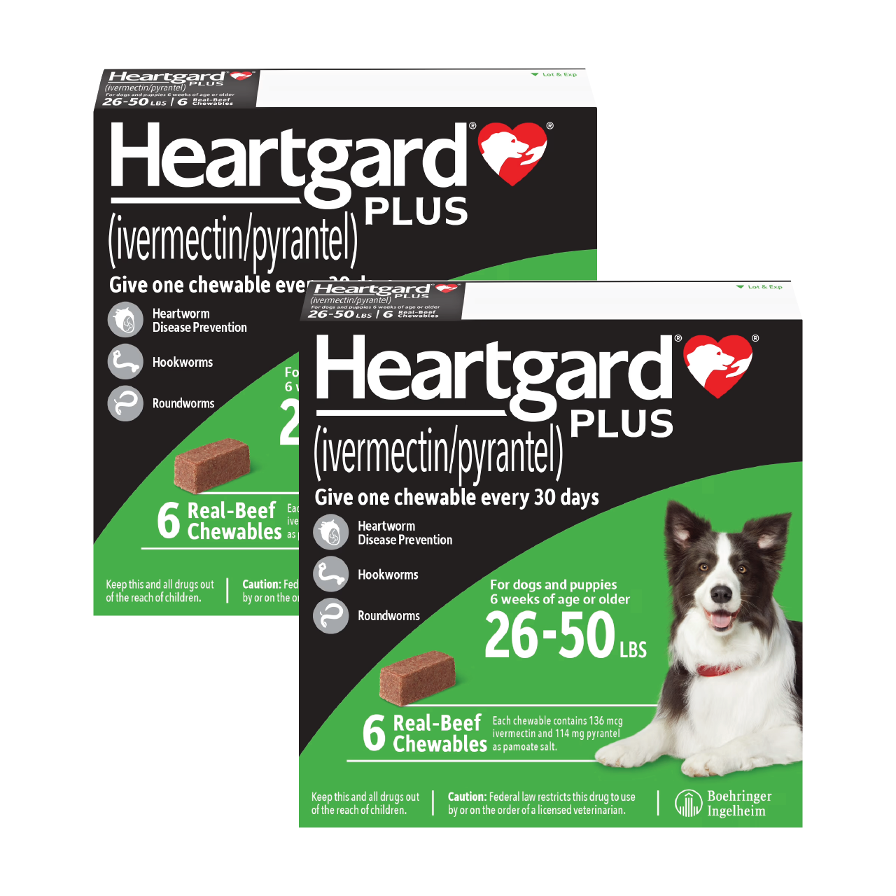 Heartgard Plus Green Chew for Dog 26-50lbs (12-22kg)-79PETS