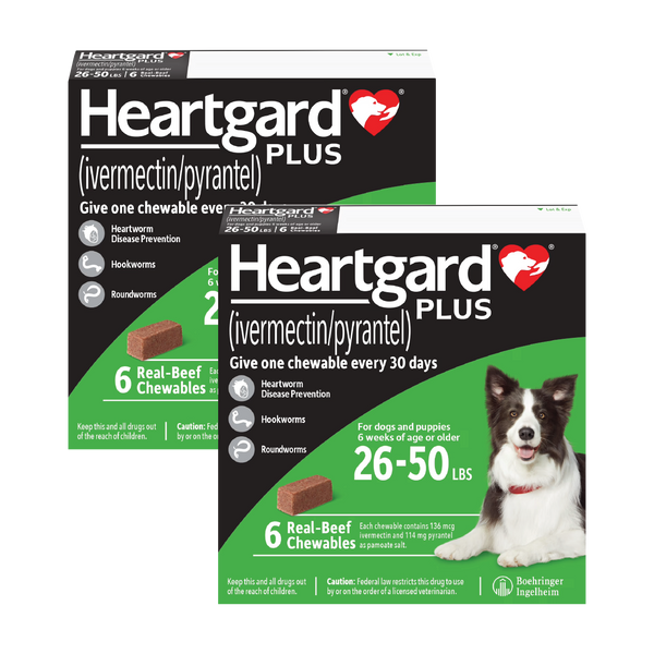 Heartgard Plus Green For Medium Dogs 26-50lbs (12-22kg)