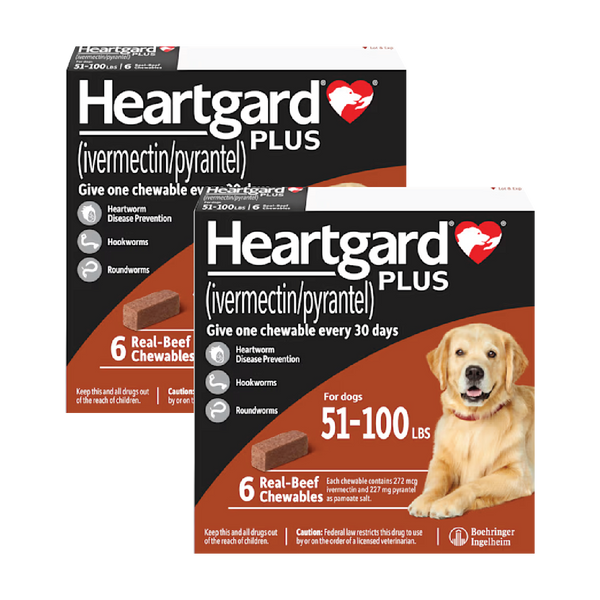 Heartgard Plus Large Brown For Dogs 51-100 lbs (23-45kg)