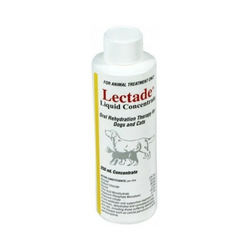 Lectade Liquid Concentrate 250Ml