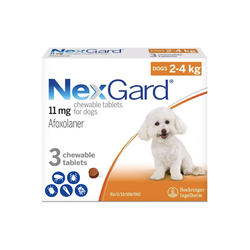 NexGard Chew For Very Small Dogs 4-10lbs (2-4kg)