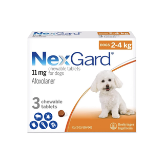 NexGard Chew For Very Small Dogs 4-10lbs (2-4kg)