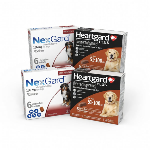 NexGard and Heartgard Plus (Brown) Combo for Dogs 60–121 lbs (25–50 kg) 12 Pack
