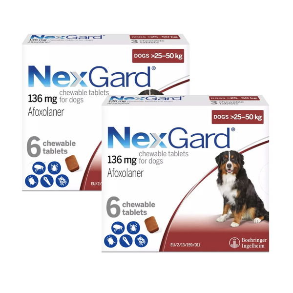 Nexgard Chew Red for Large Dogs Flea & Tick 60-121 lbs (25-50kg)