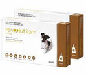 Revolution Brown For Small Dog 10-20lbs (5-10kg)