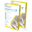 Revolution Plus For Kittens & Small Cats 2.8-5.5 lbs (1.25-2.5kg)