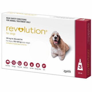 Revolution Red For Medium Dog 22-44lbs (10-20kg)