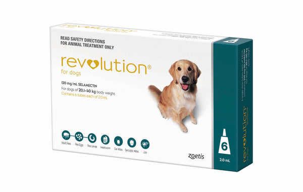 Revolution Teal For Large Dog 44-88lbs (20-40kg)