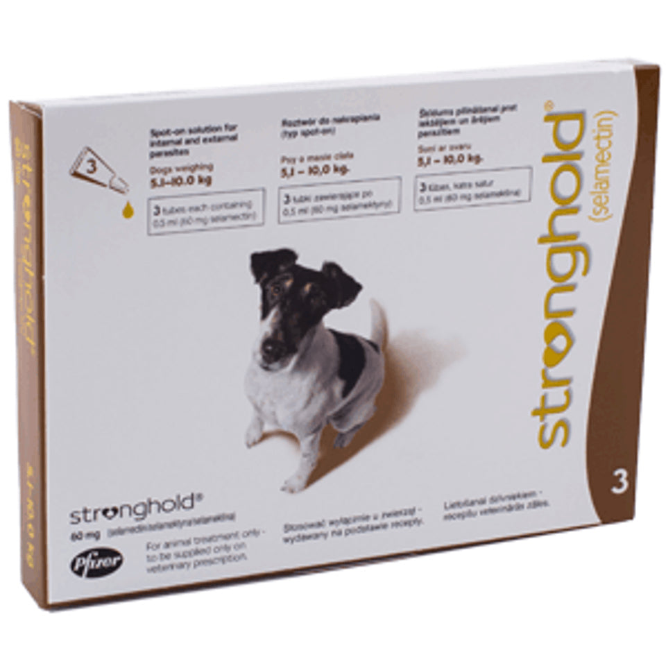 Stronghold shop dog treatment