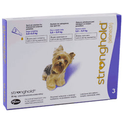 Stronghold Violet For Dogs 5-10lbs (2.6-5kg)