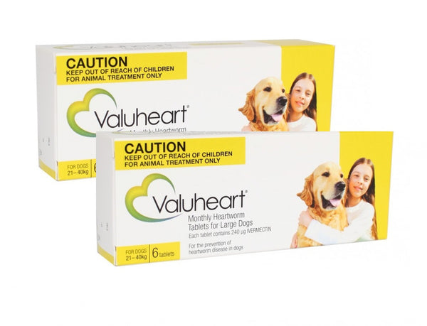 Valuheart Gold For Large Dogs 46-88lbs (21-40kg)