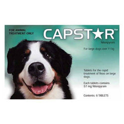 Capstar Tablets for Large Dogs 11.1kg (25lbs) 6 Pack | 79Pets.com