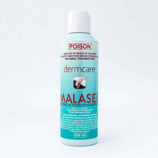 Dermcare Malaseb Medicated Shampoo For Dogs & Cats 250 ml | 79Pets.com 