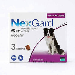 Nexgard Purple for Medium Dogs Flea & Tick 24-60 lbs (10-25kg) | 79Pets.com