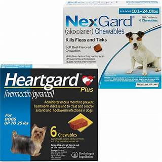 NexGard & Heartgard (Blue) Combo Dogs 4-10 kg - 6 pack | 79Pets.com